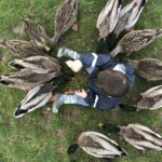 Feeding the ducks