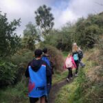 Whangamata Road to Kawakawa Bay