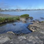 Taupō’s hot water beach