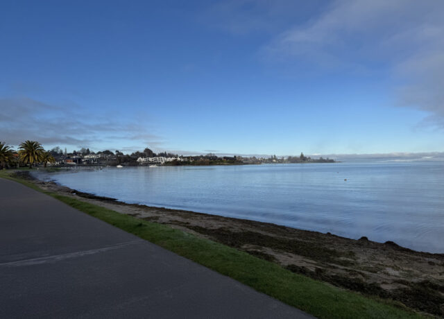 The Lakefront (where the ideas happen)